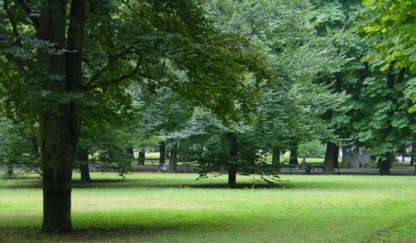 Nuove piantumazioni a Casale Monferrato